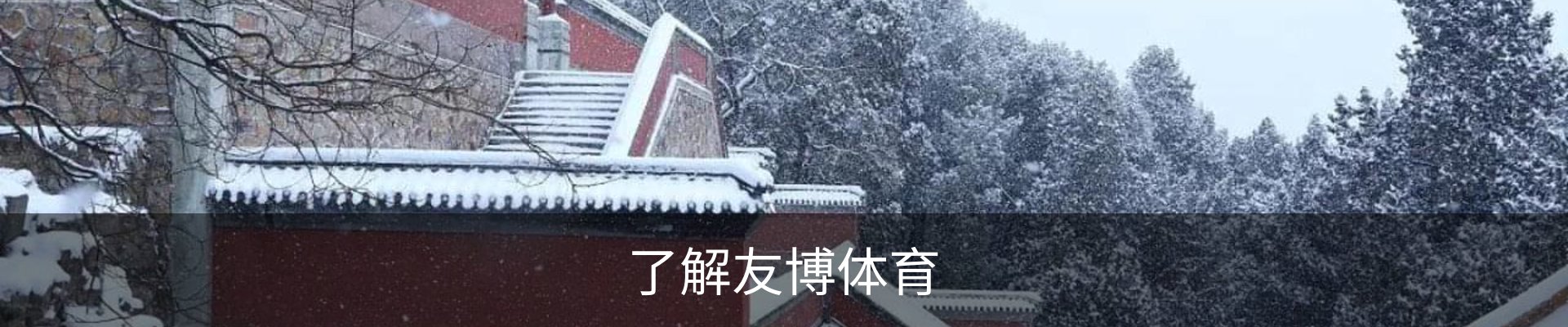 了解友博体育
